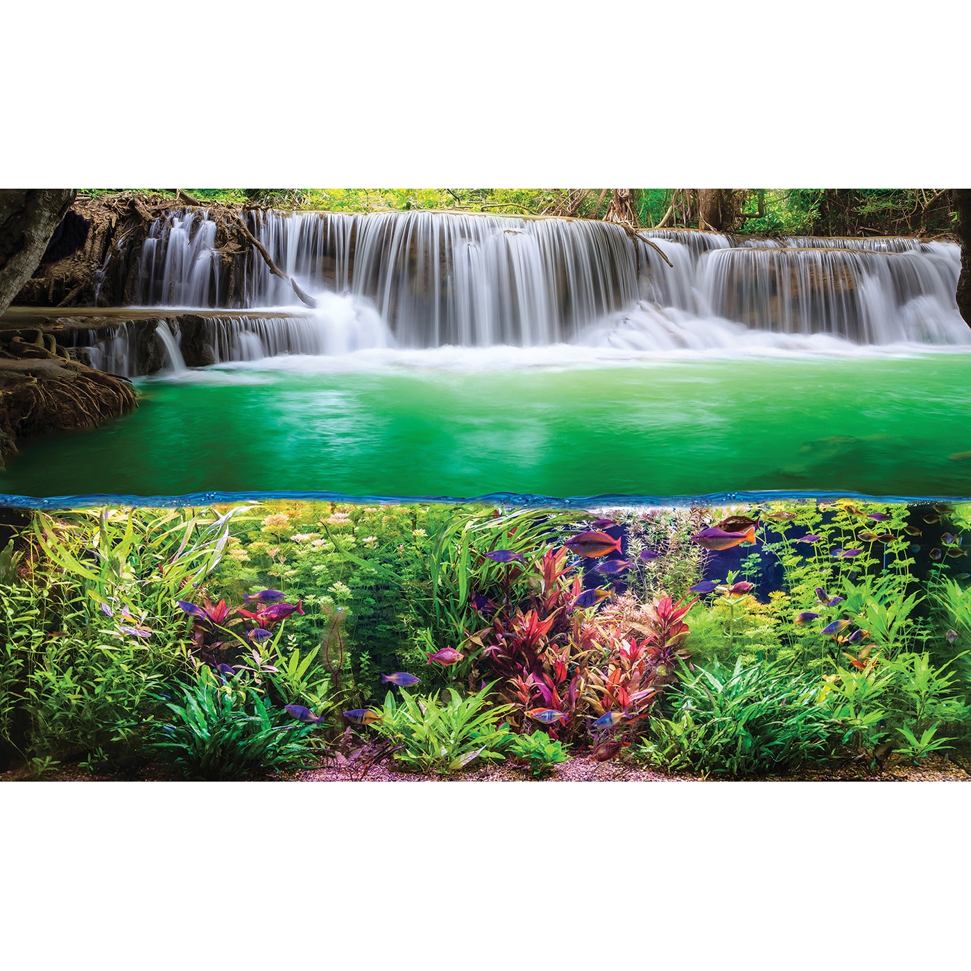 Fototapet DEGRETS 83818 Lumea animalelor 1 184x254cm