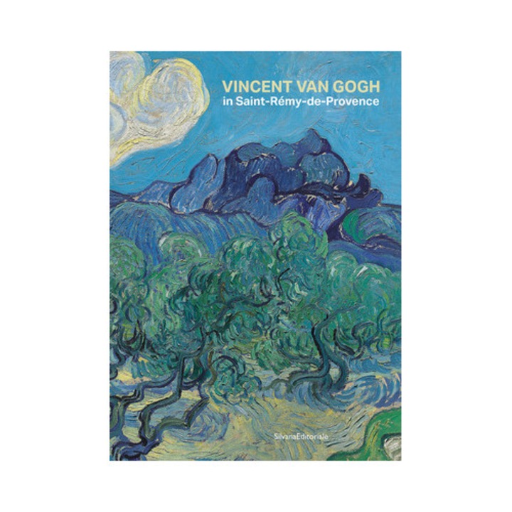 Vincent Van Gogh In Saint-rémy-de-provence - Vincent Van Gogh