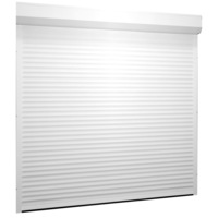 usa de garaj tip rulou bft  aluminiu  electrica alb  l2500x2400h  lamela 55 imagen 33_0_
0
