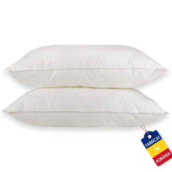 Set de 2 Perne cu puf si pana de gasca, 70cm x 70cm, alb Set de 2 Perne cu puf si pana de gasca, 70cm x 70cm, alb