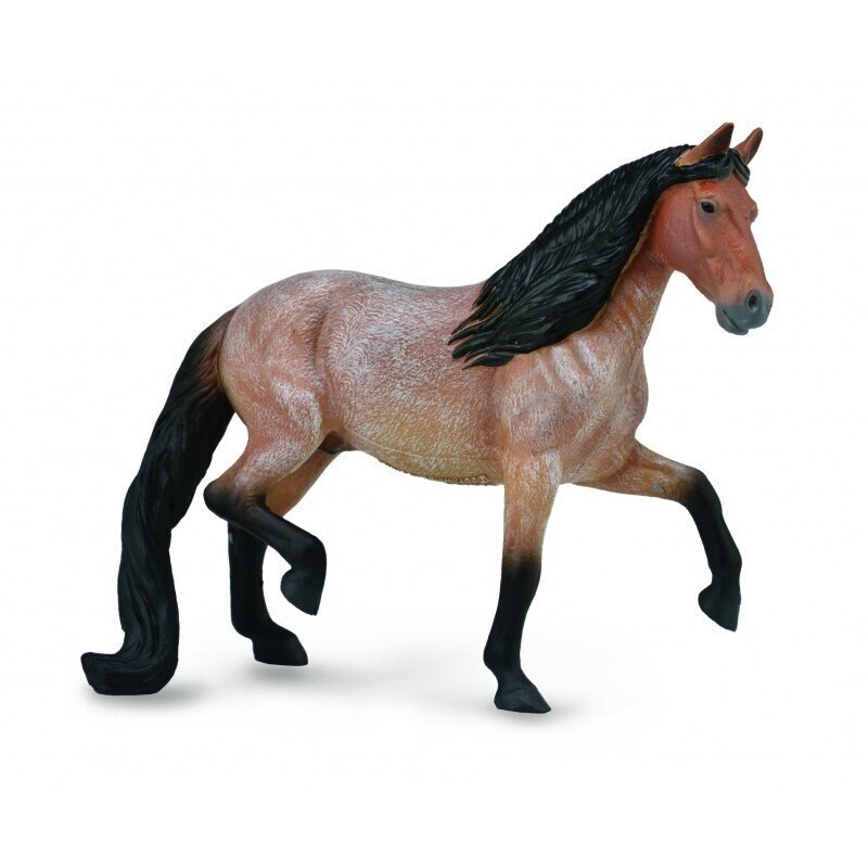 Armasar Mangalarga Marchador, Collecta Multicolor