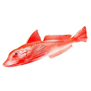 Decoratiune peste, 27 cm, interior/exterior, Roz Decoratiune peste, 27 cm, interior/exterior, Roz