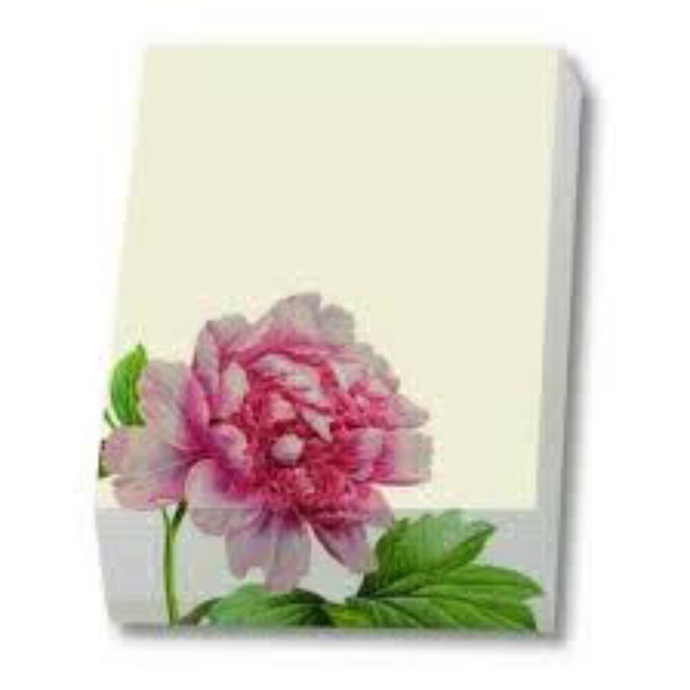 Bloc notite Redouté, Roos,Teylers Museum 9.5x13.5cm