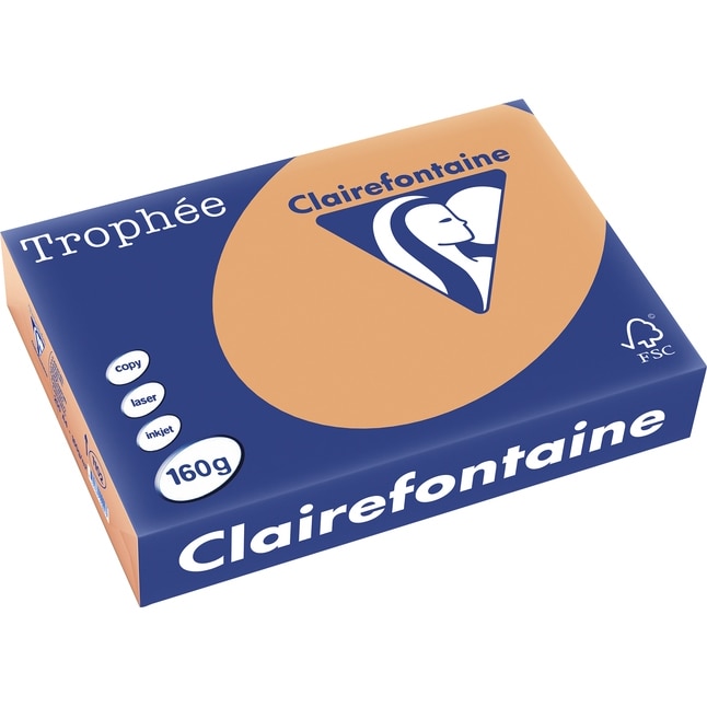 Carton Clairefontaine A4,160g/mp, color pal, 250 file/top, Caramel