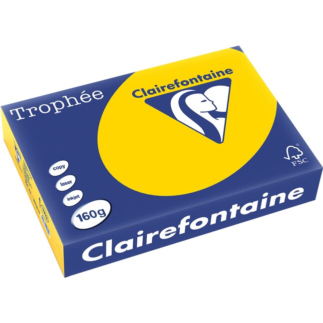 Carton Clairefontaine A4,160g/mp, color pal, 250 file/top, Gold