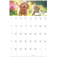 Calendar magnetic Animale indragite anul 2027, format A5, 12 file -O-Press