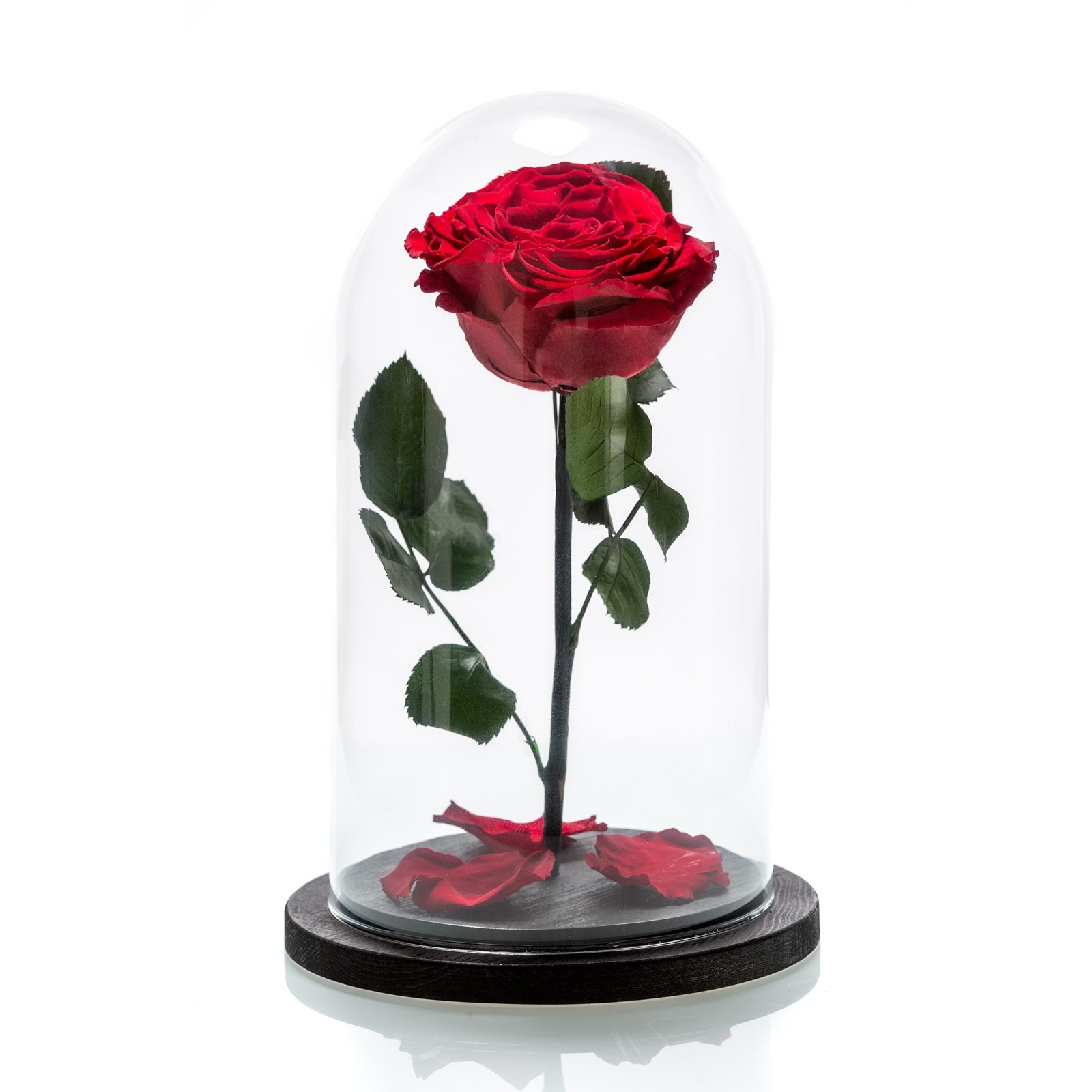 Trandafir Criogenat Rosu cupola sticla - eMAG.ro