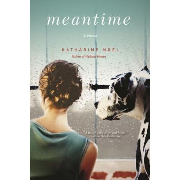Meantime, Katharine Noel (Author)
