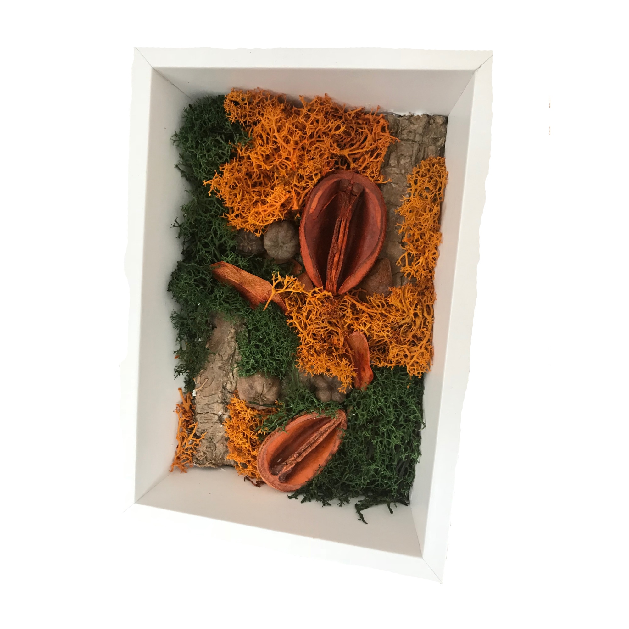 Tabou lichen decorativi verde si portocaliu, The Sisters, 13X18cm, rama lemn