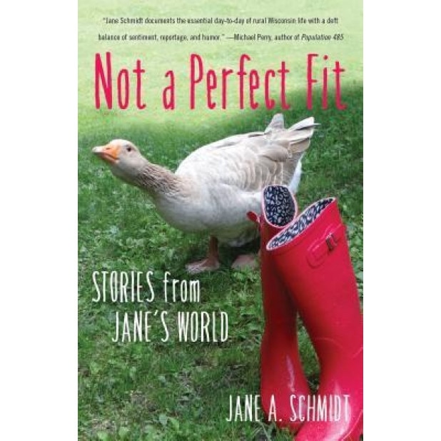 Not a Perfect Fit: Stories from Jane's World, Jane A. Schmidt (Author)
