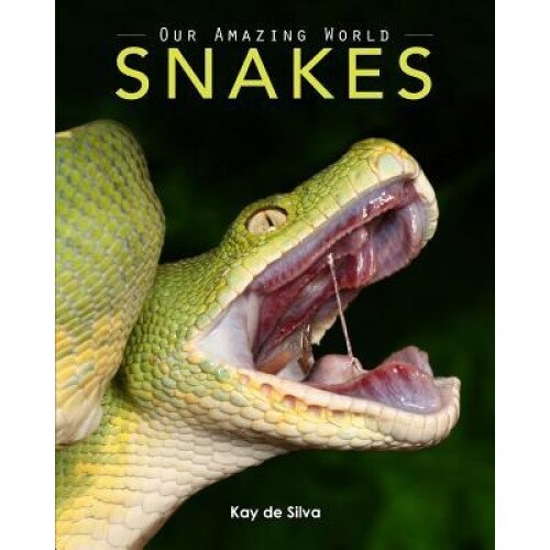 Snakes: Amazing Pictures & Fun Facts on Animals in Nature, Kay De Silva (Author)