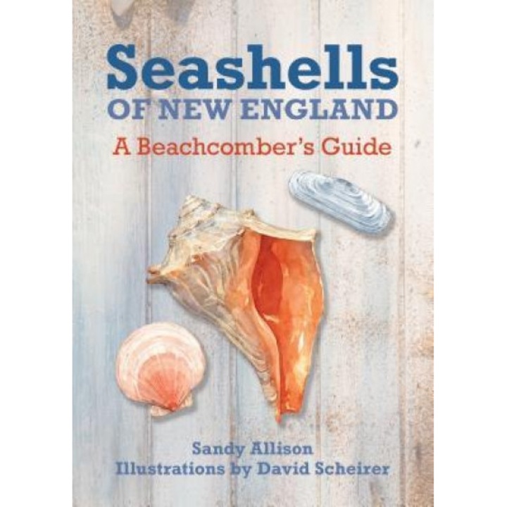 Seashells of New England: A Beachcomber's Guide, J. Duane Sept (Concept by)