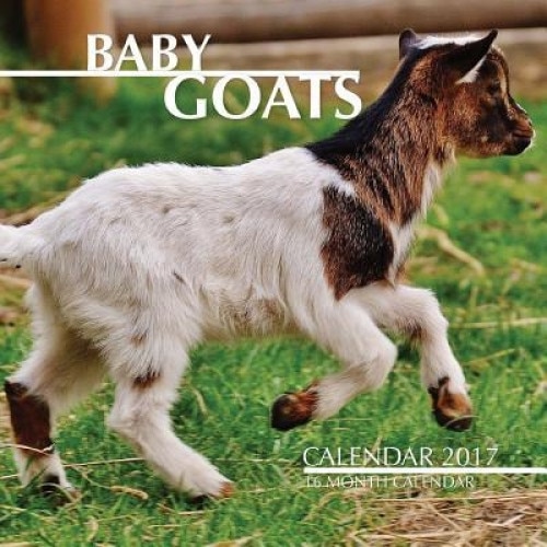 Baby Goats Calendar 2017: 16 Month Calendar, David Mann (Author)