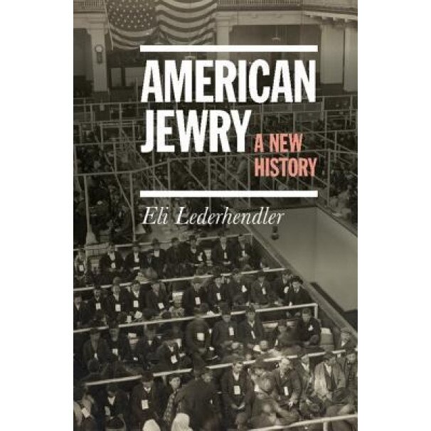 American Jewry: A New History, Eli Lederhendler (Author)