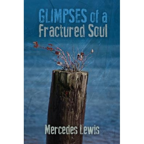Glimpses of a Fractured Soul, Mercedes Lewis (Author)