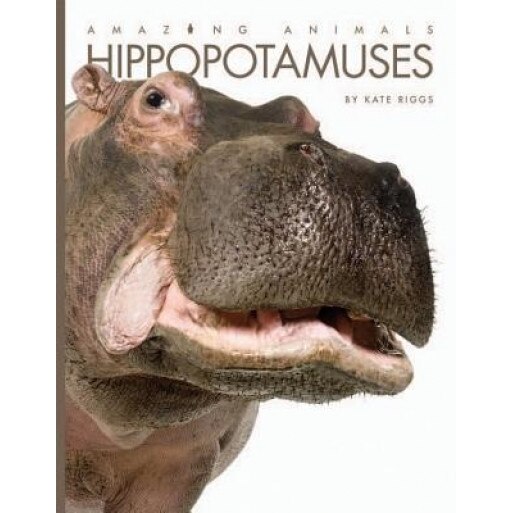 Hippopotamuses, Kate Riggs (Author)