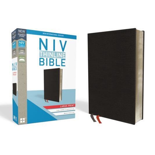 NIV, Thinline Bible, Large Print, Bonded Leather, Black, Red Letter Edition, Zondervan (Author)