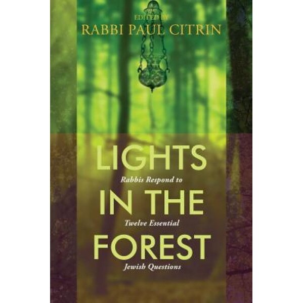 Lights in the Forest: Rabbis Respond to Twelve Essential Jewish Questions, Paul Citrin (Editor)