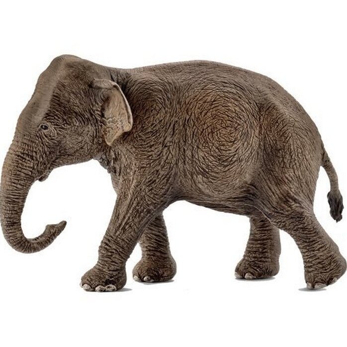Figurina elefant asiatic, Schleich