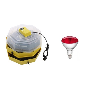 Pachet Incubator electric pentru oua etajat Cleo 5X2 DT, cu 2 dispozitive intoarcere, termometru + Bec infrarosu pentru pui, E27, 250W, Avide Pachet Incubator electric pentru oua etajat Cleo 5X2 DT, cu 2 dispozitive intoarcere, termometru + Bec infrarosu pentru pui, E27, 250W, Avide