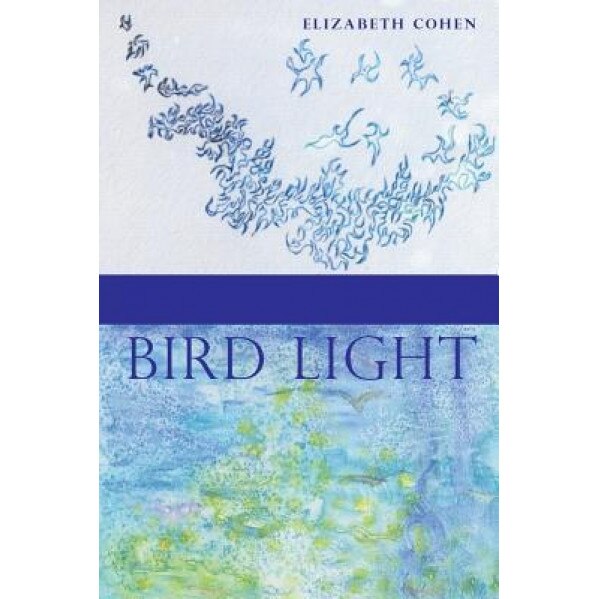 Bird Light, Elizabeth Cohen (Author)