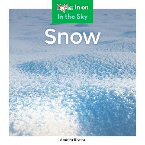 Snow, Andrea Rivera (Author)