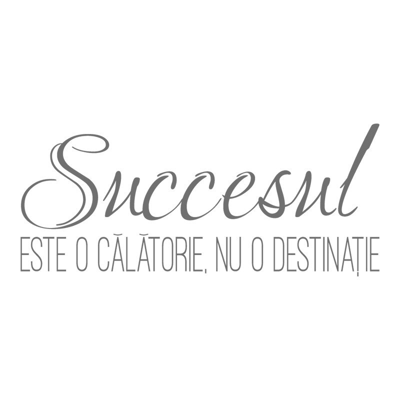 Sticker Decorativ - SMAER - Succesul - 60cm x 25cm - Gri