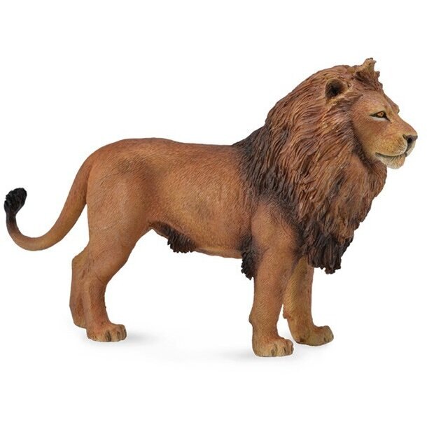 Figurina Leu African L, Collecta Maro