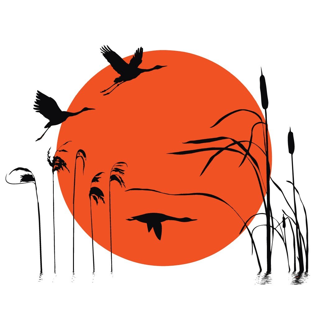 Sticker decorativ Apus pe balta - papura trestie pasari soare, Negru cu Portocaliu, 140x110 cm