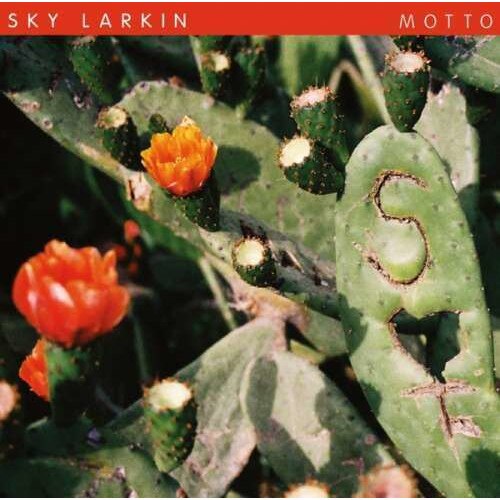 Sky Larkin - Motto (CD)