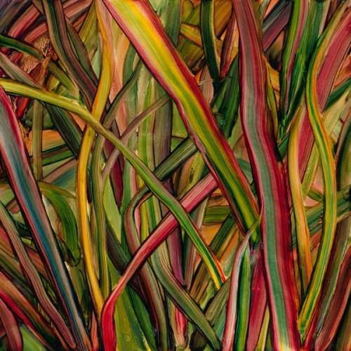 Gengahr - Where Wildness Grows (2LP)