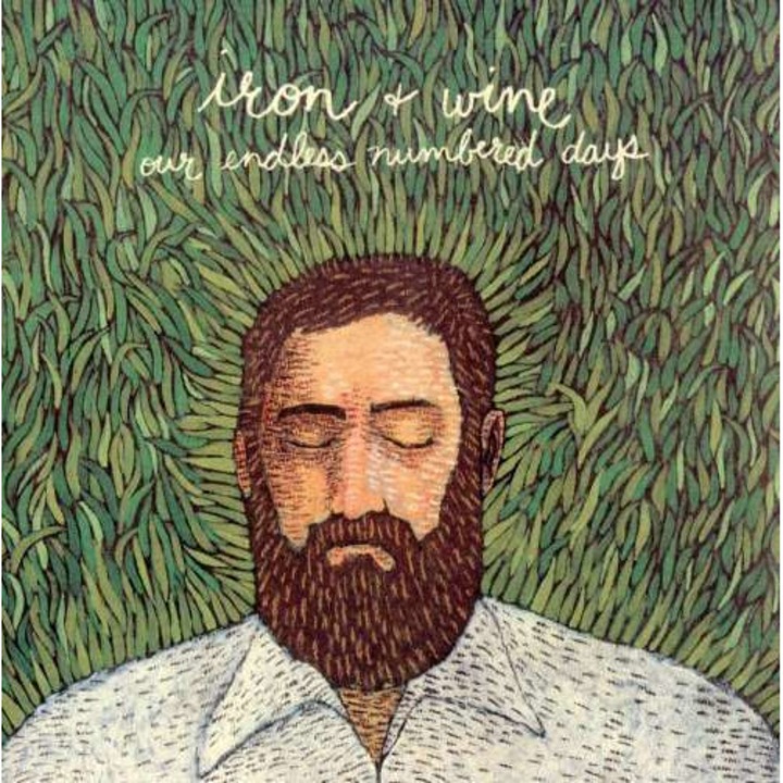 Iron & Wine - Our Endless Numbered Days (CD)