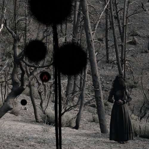 Isis - Not In Rivers But In.. (CD)