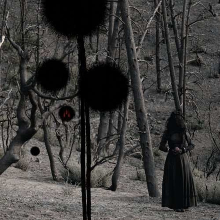 Isis - Not In Rivers But In.. (CD)