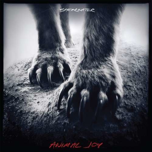 Shearwater - Animal Joy (CD)