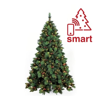 Brad artificial premium Kring Phoenix, adaptor smart / control din telefon, cu conuri si merisoare, lumina calda, ace 3D/2D,PP/PVC, 180 cm, Verde Brad artificial premium Kring Phoenix, adaptor smart / control din telefon, cu conuri si merisoare, lumina calda, ace 3D/2D,PP/PVC, 180 cm, Verde