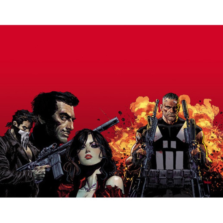 Marvel Knights: Punisher - Jimmy Palmiotti