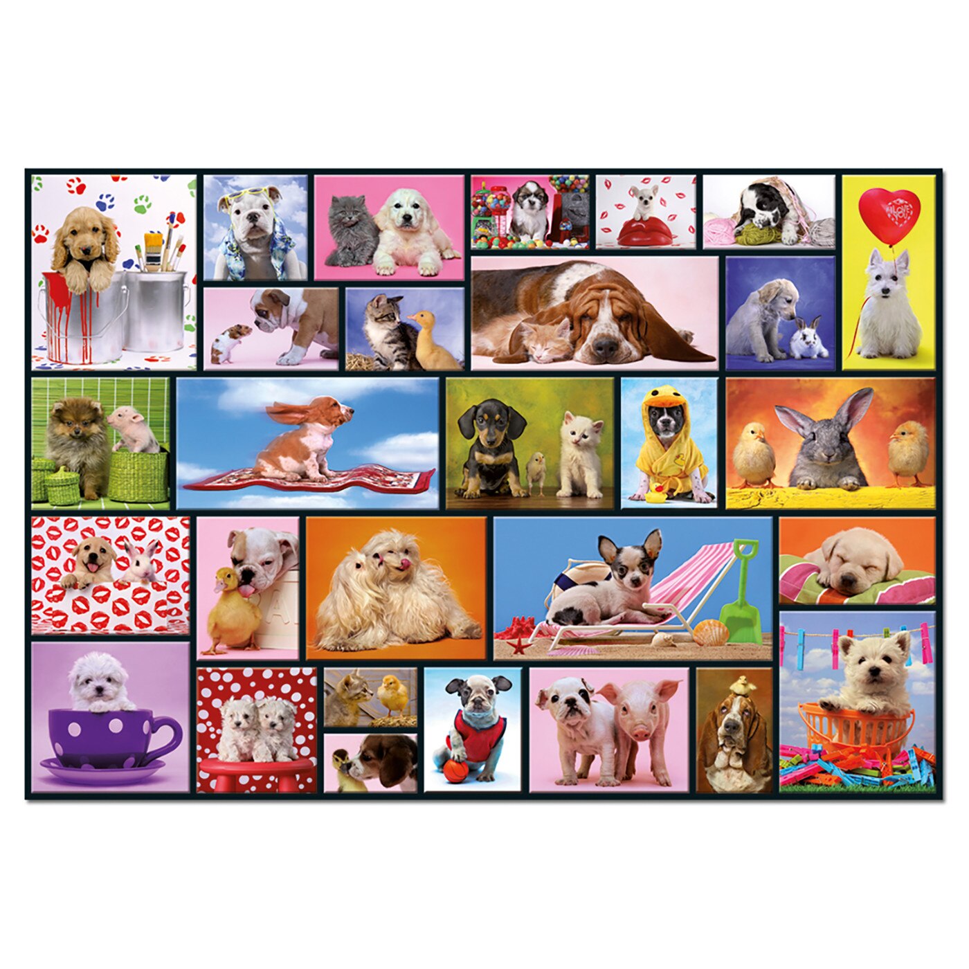 Puzzle Educa - Shared Moments, 1000 piese, include lipici puzzle (15518)