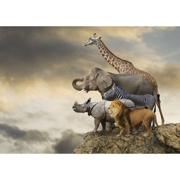 Puzzle Educa - Animals on the Edge of a Cliff, 500 piese, include lipici puzzle (16737) Puzzle Educa - Animals on the Edge of a Cliff, 500 piese, include lipici puzzle (16737)