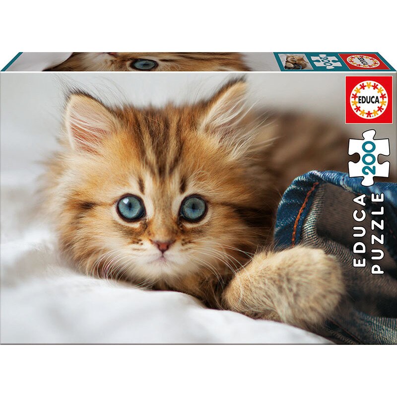 Puzzle Educa - Kitten, 200 piese (17154)