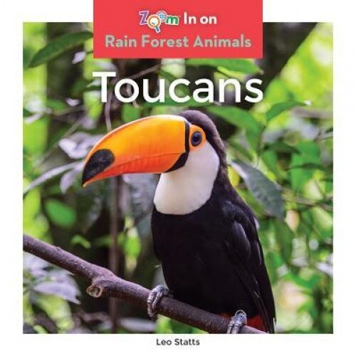 Toucans, Leo Statts (Author)