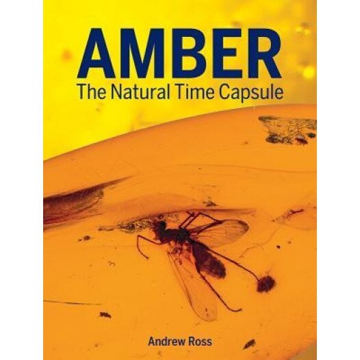 Amber: The Natural Time Capsule, Andrew Ross (Author)