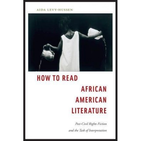 How to Read African American Literature: Post-Civil Rights Fiction and the Task of Interpretation, Aida Levy-Hussen (Author)