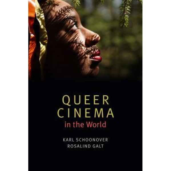 Queer Cinema in the World, Karl Schoonover (Author)