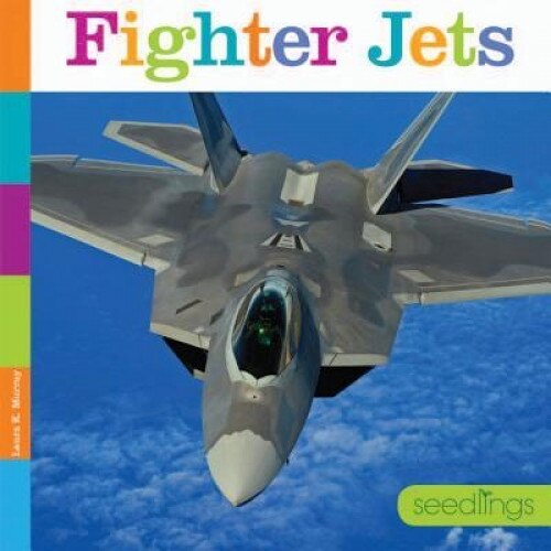 Fighter Jets, Laura K. Murray (Author)