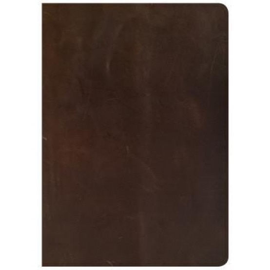 CSB She Reads Truth Bible, Brown Genuine Leather, Raechel Myers (Author)