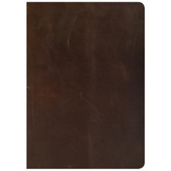 CSB She Reads Truth Bible, Brown Genuine Leather, Raechel Myers (Author) CSB She Reads Truth Bible, Brown Genuine Leather, Raechel Myers (Author)