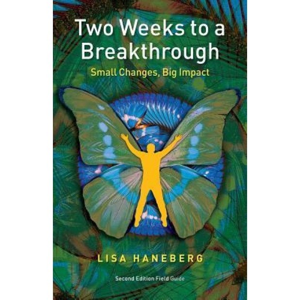 Two Weeks to a Breakthrough: Small Changes, Big Impact - Lisa Haneberg (Author)
