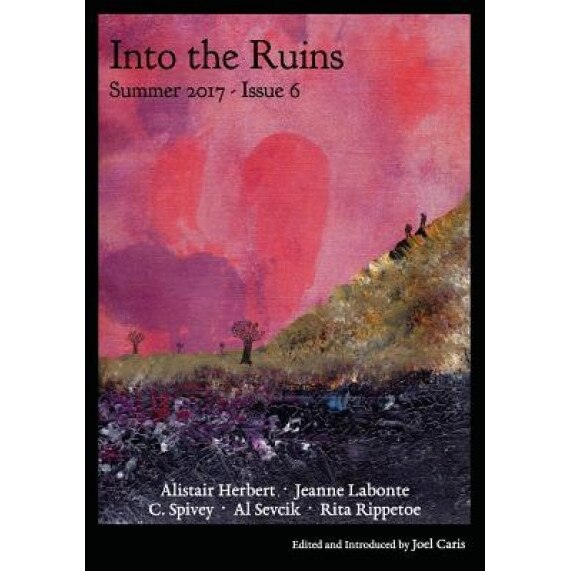 Into the Ruins: Summer 2017, Joel Caris (Author)