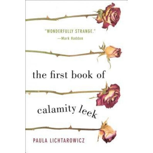 The First Book of Calamity Leek, Paula Lichtarowicz (Author)